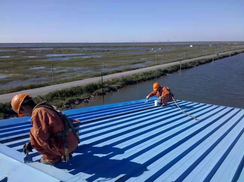 五龙口镇钢结构屋面漏水原因